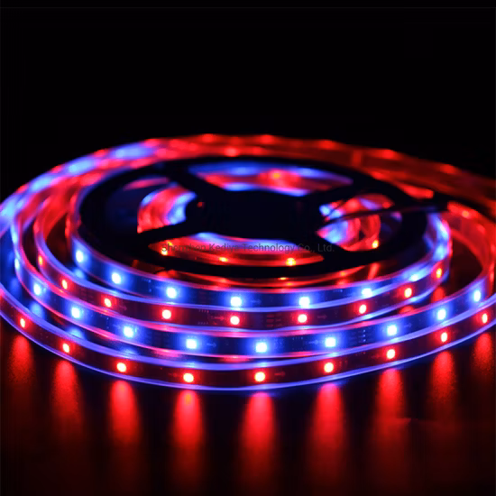 Faixa LED Ws2811 LED Pixel 12V Faixa LED programável