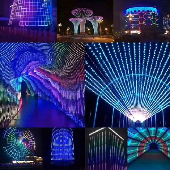 Faixa de LED RGB Neon Pixel Ws2812b à prova d'água individualmente endereçável individualmente para Bar TV Music Festival